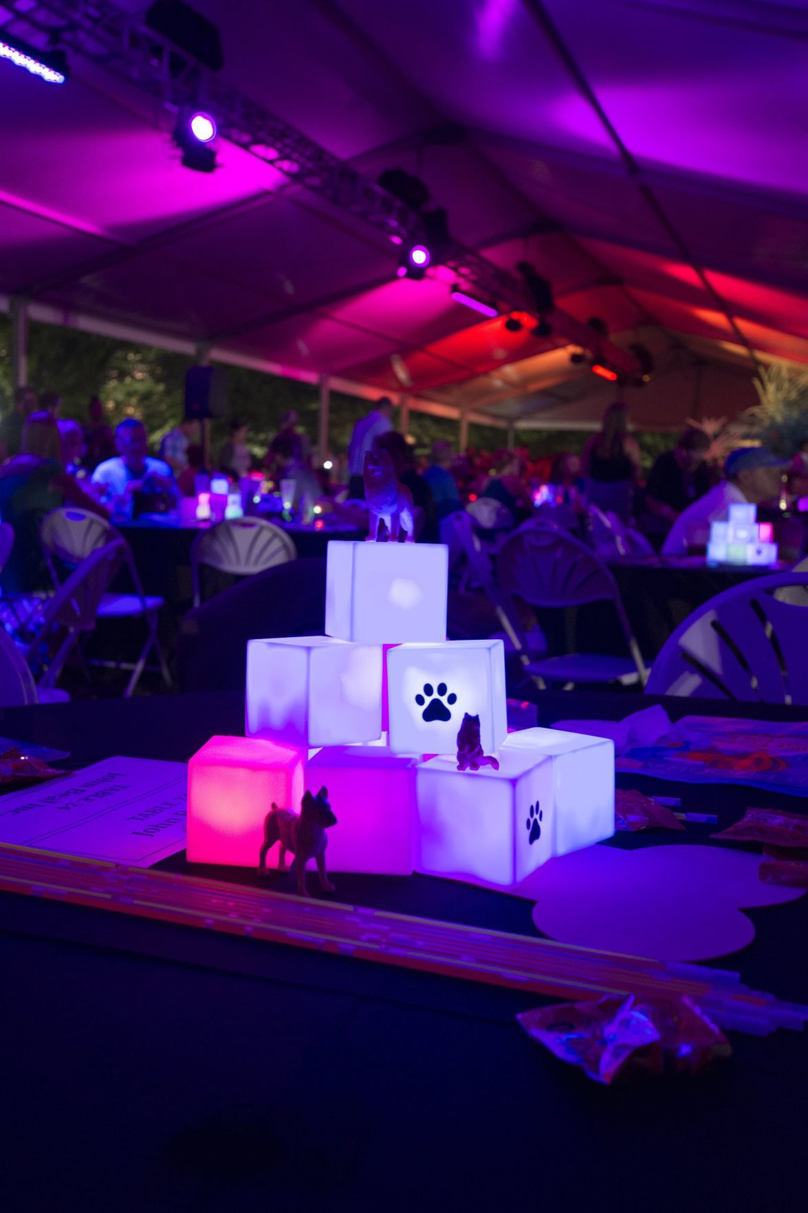 9.14.18_GlowinthePark_20.JPG